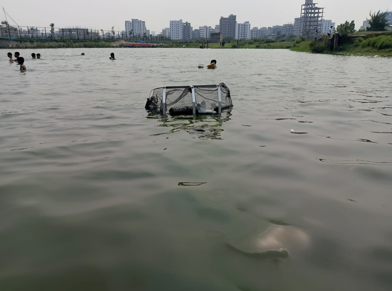 Awareness Raising Campaign by Archelon